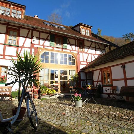 Gaestehaus Pfefferle Hotel Garni Und Ferienwohnungen Сигмаринген Екстериор снимка