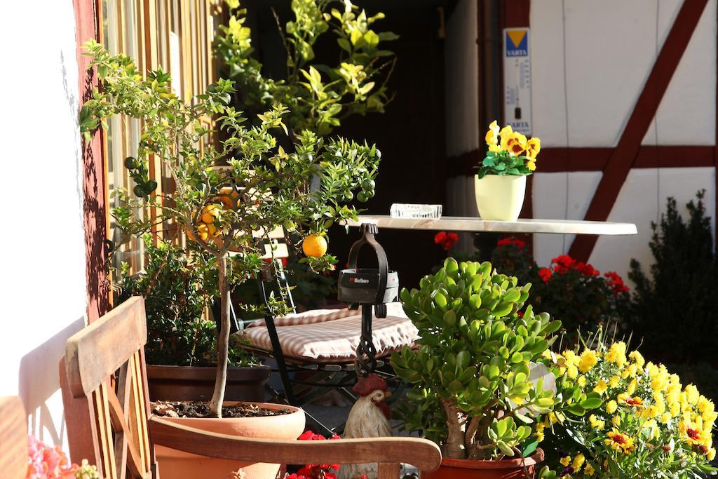 Gaestehaus Pfefferle Hotel Garni Und Ferienwohnungen Сигмаринген Екстериор снимка
